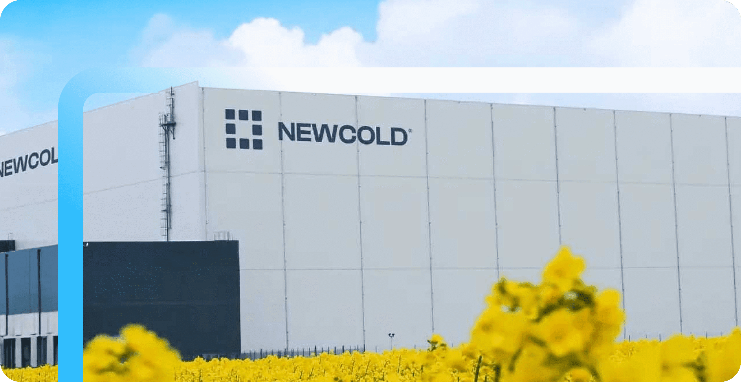 Large NewCold cold storage warehouse facility with branded signage, surrounded by bright yellow rapeseed flowers under a