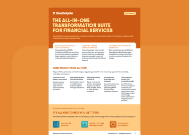 BlueDolphin solution brief presenting their all-in-one transformation suite for banking and financial services.