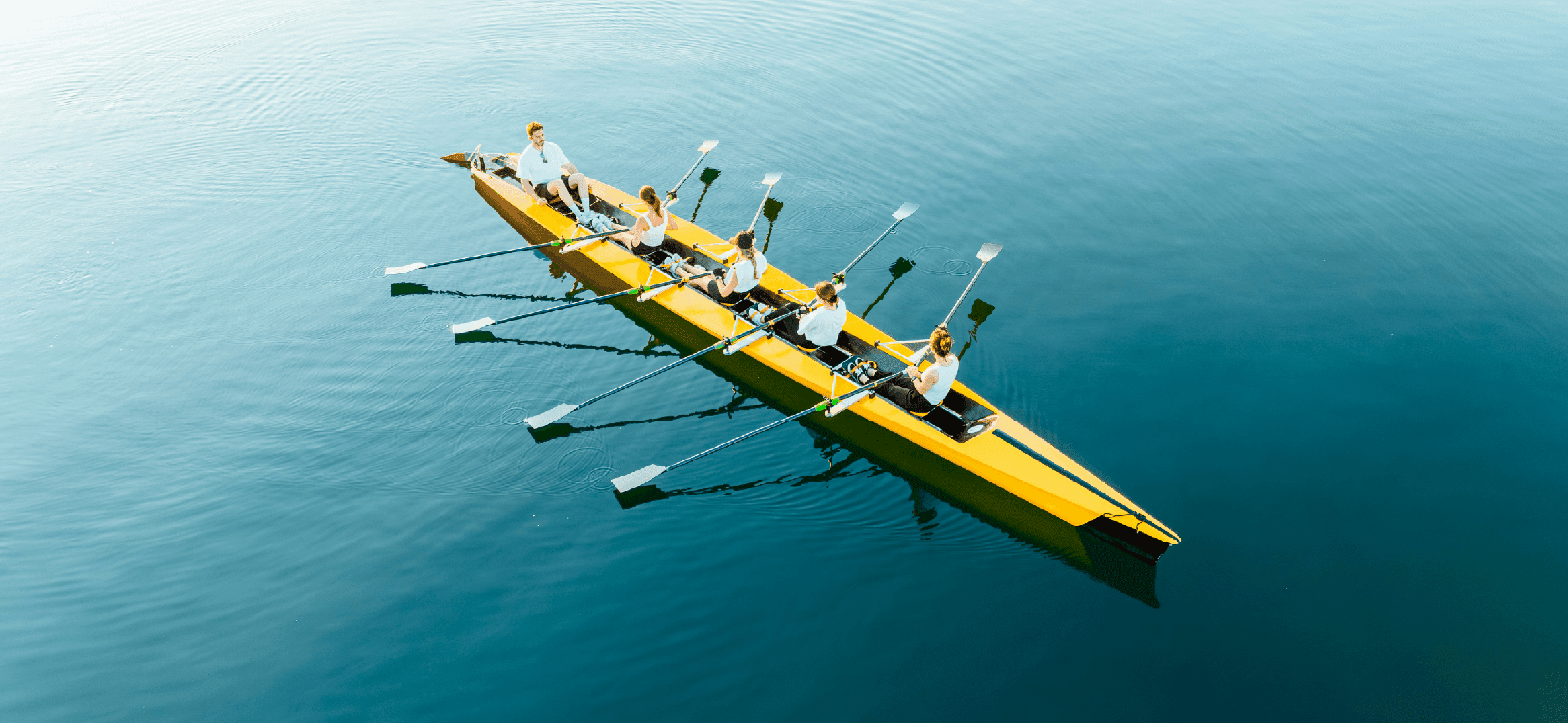 Process Owners + Enterprise Architecture: How Collaboration Works in BlueDolphin