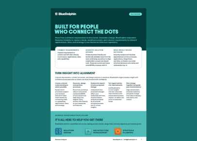 BlueDolphin solution brief for Business Analysis highlighting requirements, solution design, and impact-driven decisions.