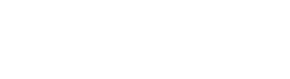 pds logo white